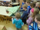DSCN5473