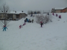 DSCN5871
