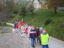 IMG 5500