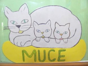 muce 2019