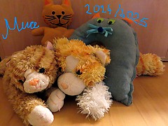 Muce 24