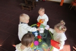 IMG 4598