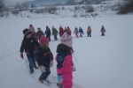 IMG 3286