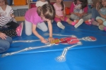 IMG 4214