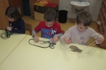 IMG 1731