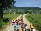 thumb IMG 9929