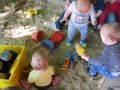 thumb IMG 8723