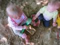 IMG 8732