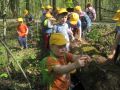 thumb IMG 0664