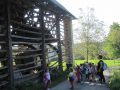IMG 0259